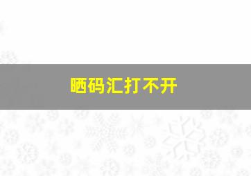 晒码汇打不开