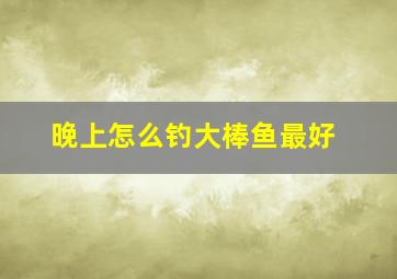 晚上怎么钓大棒鱼最好