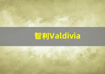 智利Valdivia