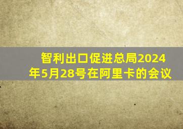 智利出口促进总局2024年5月28号在阿里卡的会议