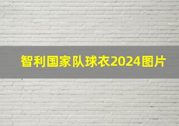 智利国家队球衣2024图片