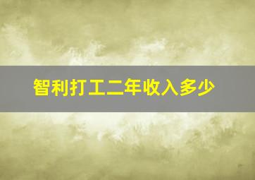 智利打工二年收入多少