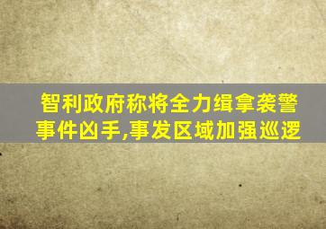 智利政府称将全力缉拿袭警事件凶手,事发区域加强巡逻