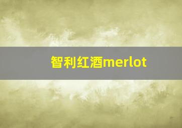 智利红酒merlot