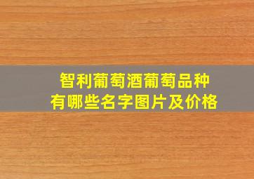 智利葡萄酒葡萄品种有哪些名字图片及价格