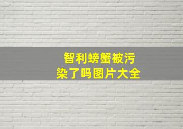 智利螃蟹被污染了吗图片大全