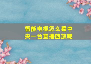 智能电视怎么看中央一台直播回放呢