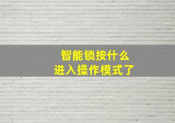 智能锁按什么进入操作模式了