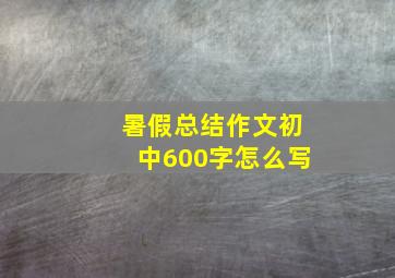 暑假总结作文初中600字怎么写