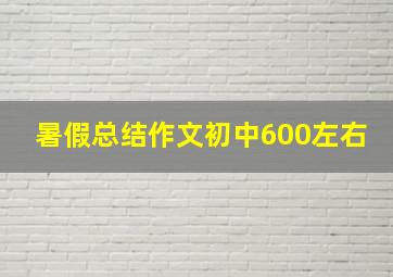 暑假总结作文初中600左右