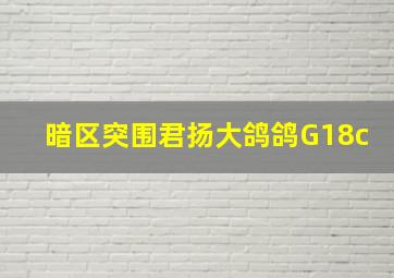 暗区突围君扬大鸽鸽G18c