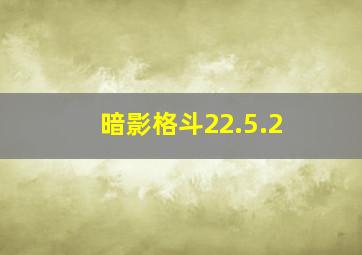 暗影格斗22.5.2