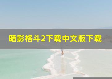 暗影格斗2下载中文版下载