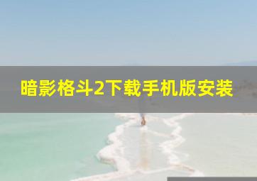 暗影格斗2下载手机版安装