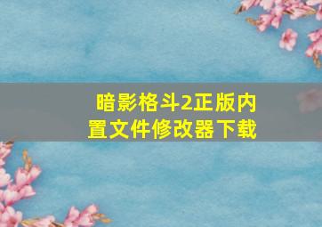 暗影格斗2正版内置文件修改器下载