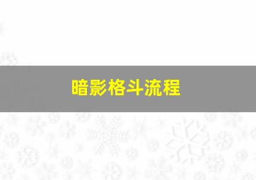 暗影格斗流程