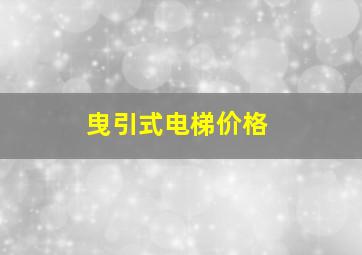 曳引式电梯价格