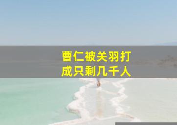 曹仁被关羽打成只剩几千人