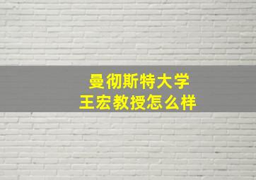 曼彻斯特大学王宏教授怎么样