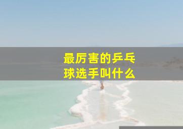 最厉害的乒乓球选手叫什么