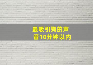 最吸引狗的声音10分钟以内