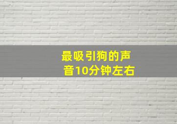 最吸引狗的声音10分钟左右