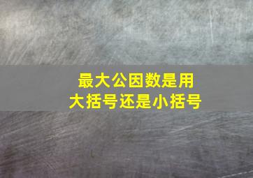 最大公因数是用大括号还是小括号