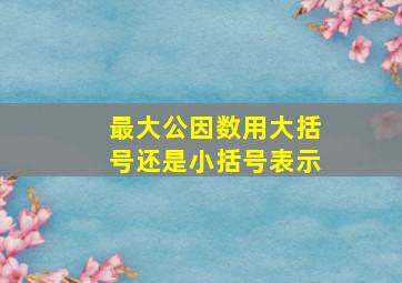 最大公因数用大括号还是小括号表示