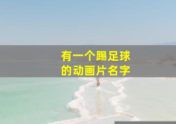 有一个踢足球的动画片名字