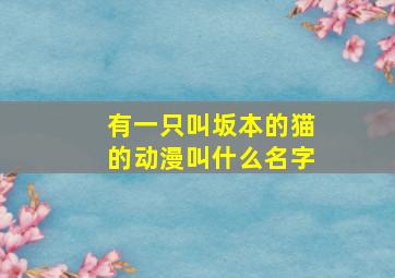 有一只叫坂本的猫的动漫叫什么名字