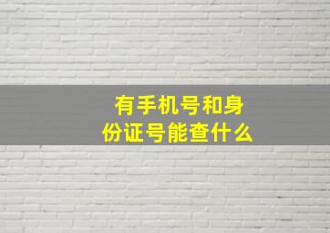 有手机号和身份证号能查什么