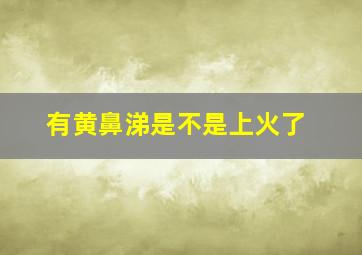 有黄鼻涕是不是上火了