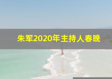 朱军2020年主持人春晚