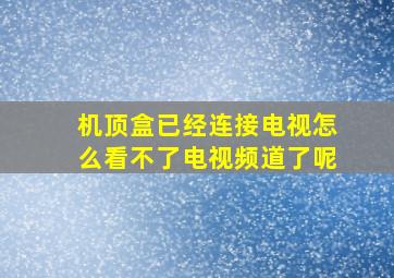 机顶盒已经连接电视怎么看不了电视频道了呢