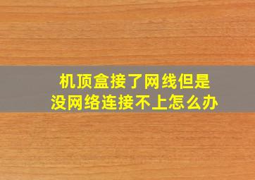 机顶盒接了网线但是没网络连接不上怎么办