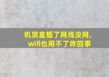 机顶盒插了网线没网,wifi也用不了咋回事