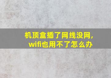 机顶盒插了网线没网,wifi也用不了怎么办