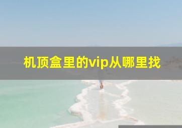 机顶盒里的vip从哪里找