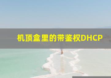 机顶盒里的带鉴权DHCP