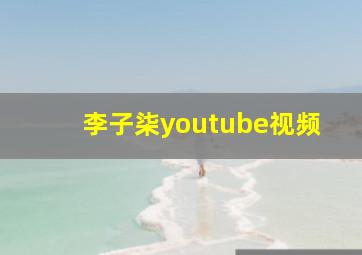 李子柒youtube视频