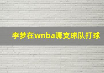 李梦在wnba哪支球队打球