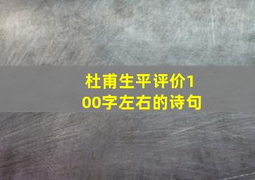 杜甫生平评价100字左右的诗句