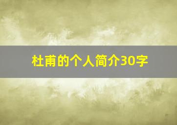 杜甫的个人简介30字