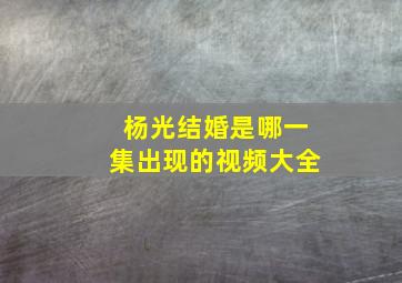 杨光结婚是哪一集出现的视频大全