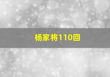 杨家将110回