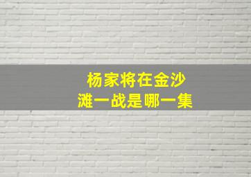 杨家将在金沙滩一战是哪一集