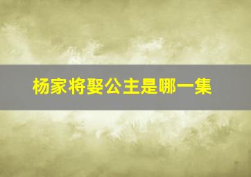 杨家将娶公主是哪一集