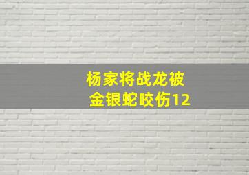 杨家将战龙被金银蛇咬伤12