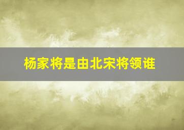 杨家将是由北宋将领谁