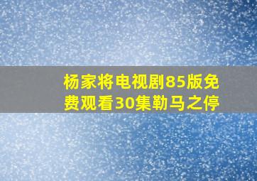 杨家将电视剧85版免费观看30集勒马之停